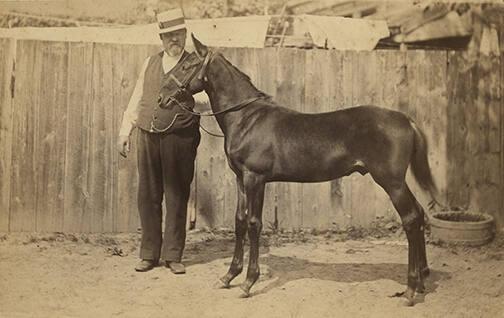 Man with Horse