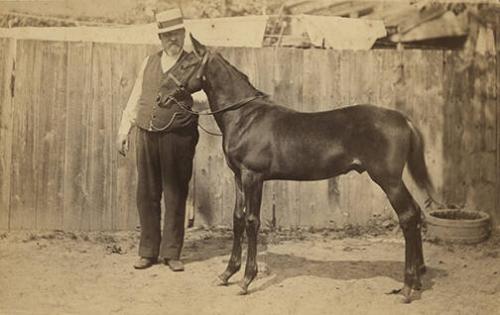 Man with Horse