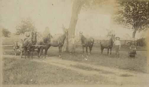 Men, Woman, and Horses on Farmland