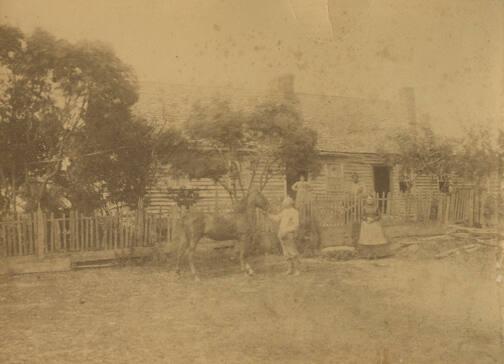 People and Horse Standing Outside of House