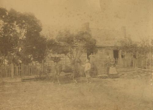 People and Horse Standing Outside of House