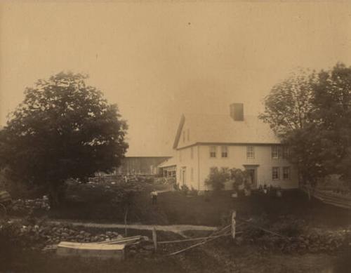 Farm Scene