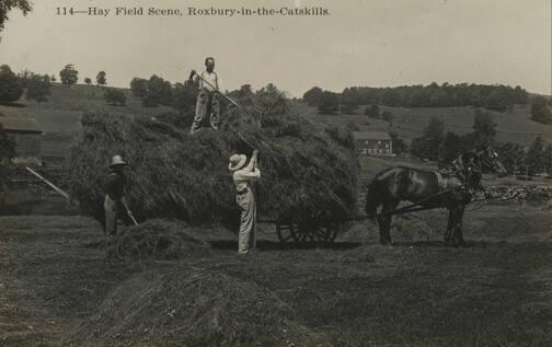 Hayfield Scene, Roxbury