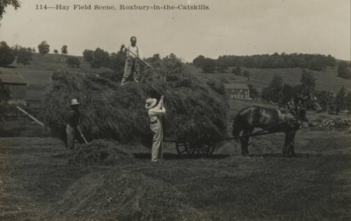Hayfield Scene, Roxbury