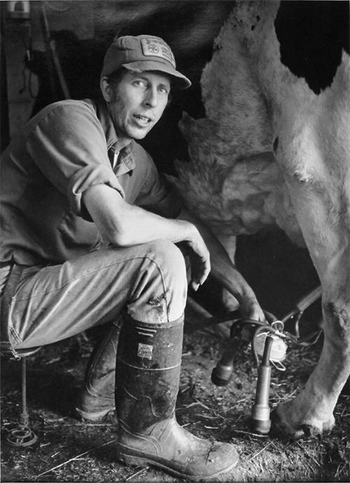 Milking a Cow on the Davidson Farm