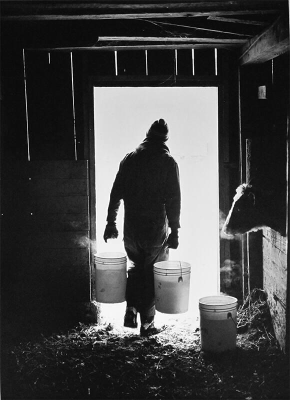 Morning Chores