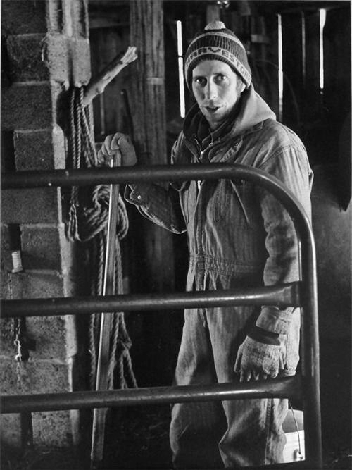 Working Inside the Barn