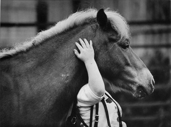 Amy with a Horse