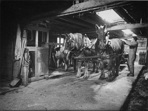John and his Horse Team