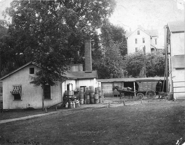 Rider Dairy