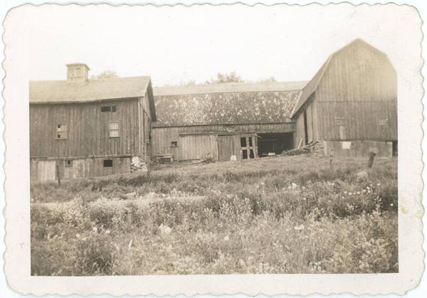 Barn in Brooktondale 1947