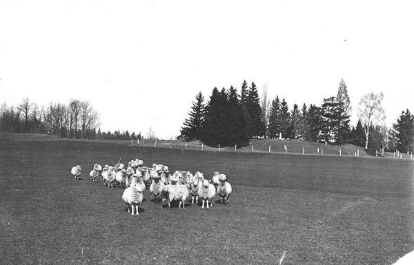 Oneida Community Limited Golf Links