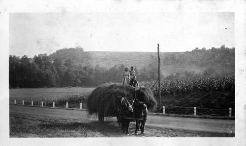 Three Children on a Hay Wagon