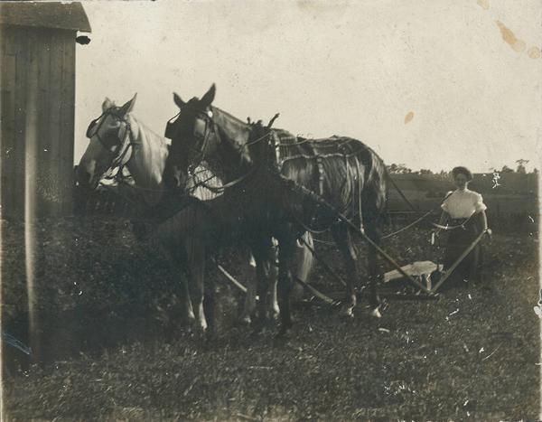 Woman with Plow