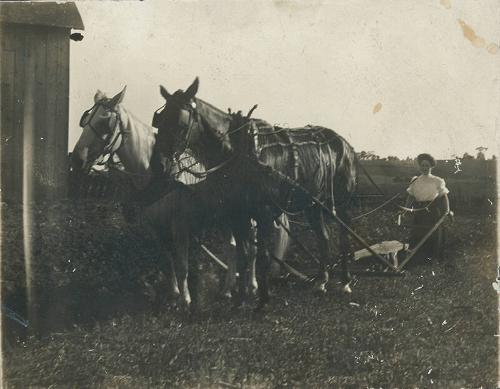 Woman with Plow