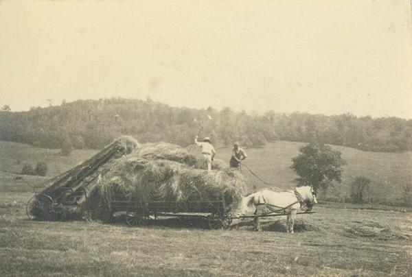 Hay Wagon at Duroe-Dell Farm
