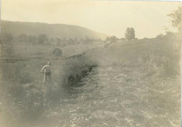 Man with Sithe at Duroe-Dell Farm
