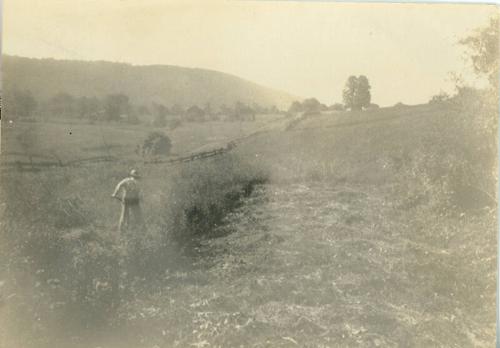 Man with Sithe at Duroe-Dell Farm