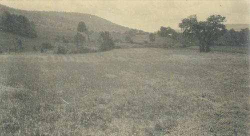 Looking East from the Barn at Duroe-Dell Farm