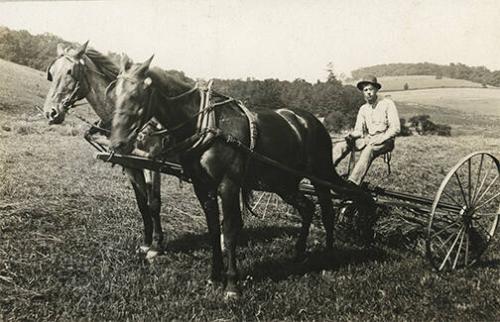 Horse-Drawn Hay Rake