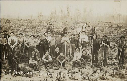 Potato Farmers