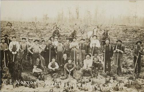 Potato Farmers