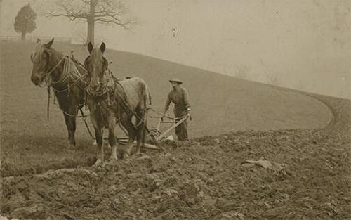 Plowing a Field in Sullivan County, NY