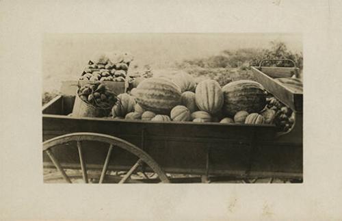 Wagon of Produce