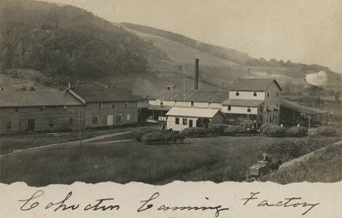 Cohocton Canning Factory