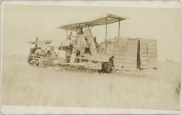 Harvesting Grain