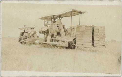 Harvesting Grain