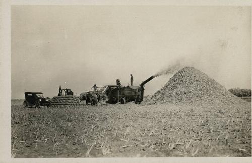 Threshing Grain