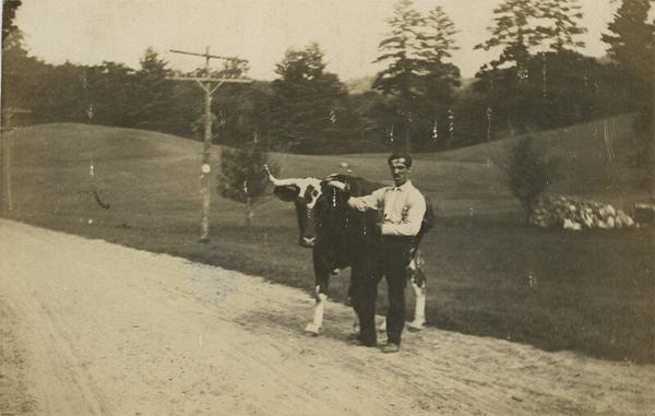 Man with Steer or Oxen