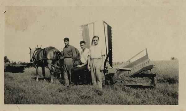 Three Men with Horse-Drawn Reaper
