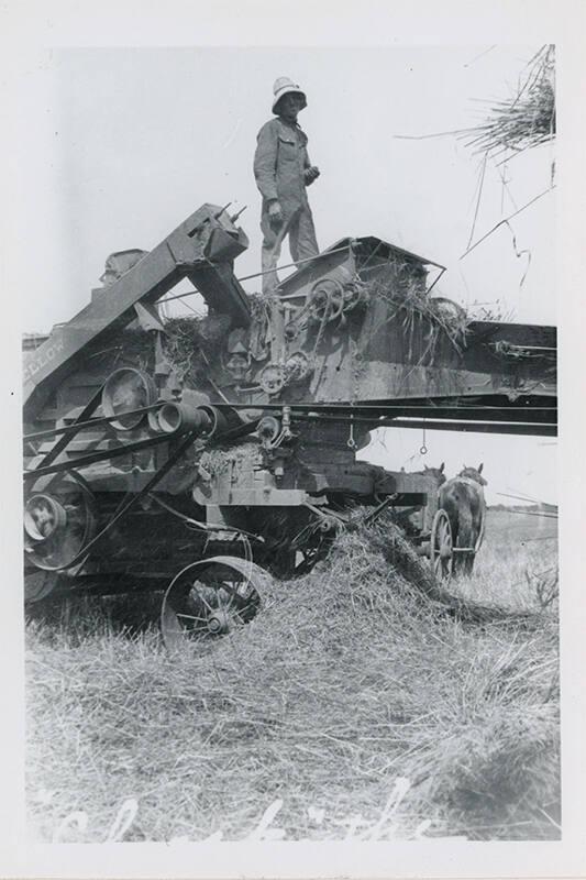 Detail of a Threshing Machine