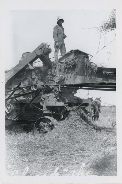 Detail of a Threshing Machine