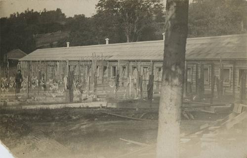 Chicken Farm