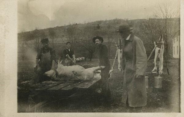 Hog Butchering