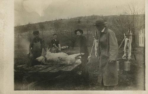 Hog Butchering