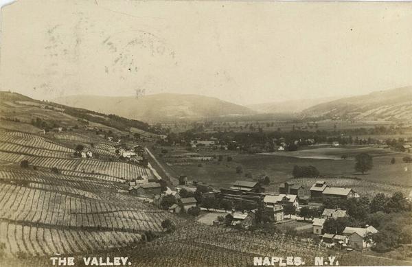 The Valley in Naples, NY