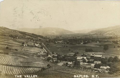 The Valley in Naples, NY