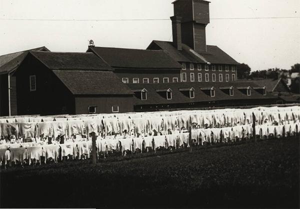 Tannery