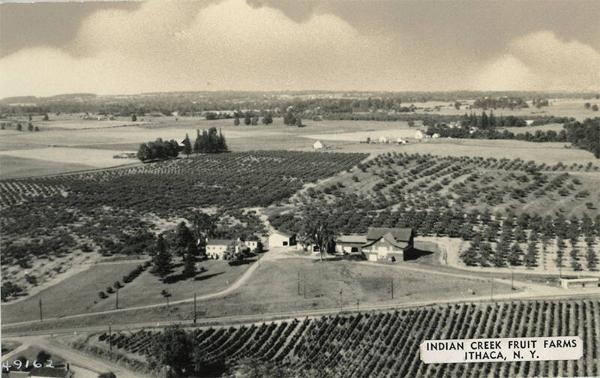 Indian Creek Fruit Farms in Ithaca, NY