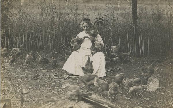 Woman Seated with Flock of Chickens