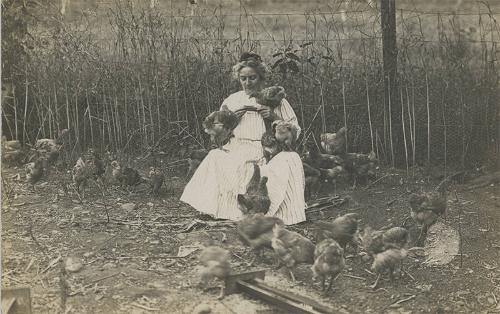 Woman Seated with Flock of Chickens