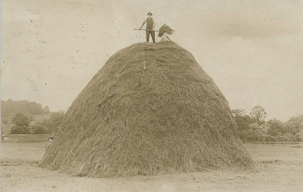 Man on Top of a Stack of Hay