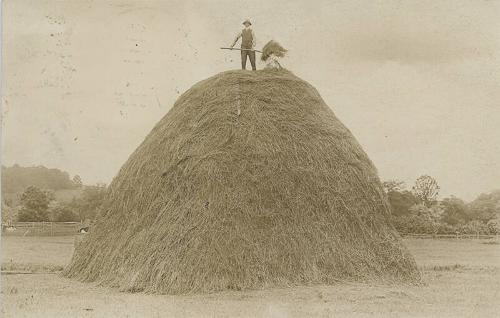 Man on Top of a Stack of Hay