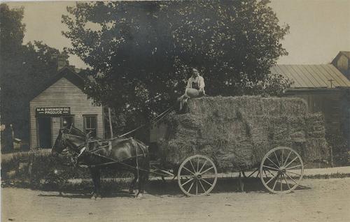 Load of Horse-Drawn Hay