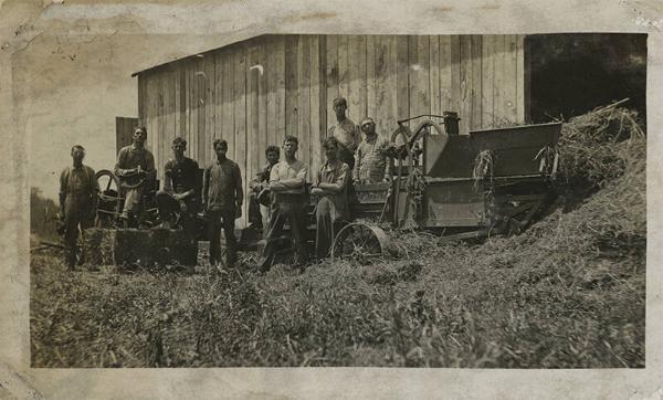 A Gang Pressing Hay