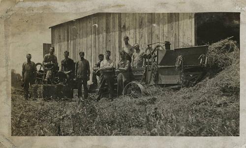 A Gang Pressing Hay